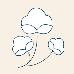 Organic Cotton