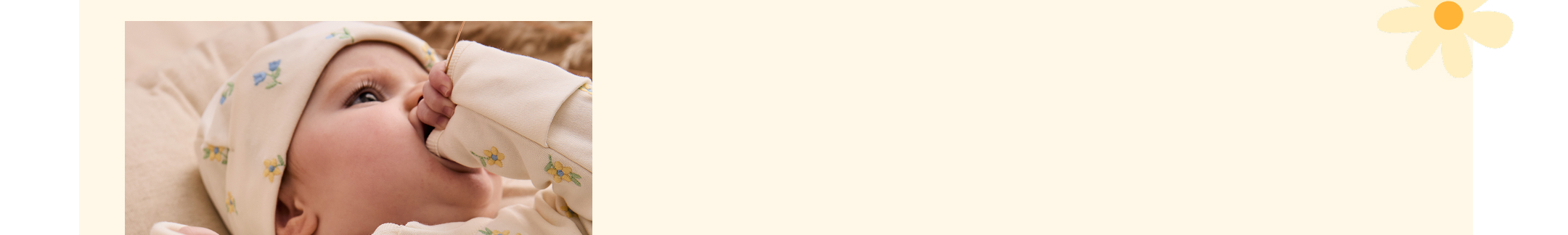 New beginnings in spring