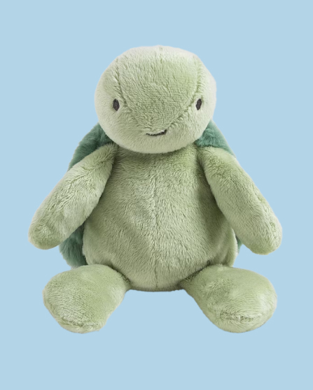 Green Toto Turtle Soft Toy Small