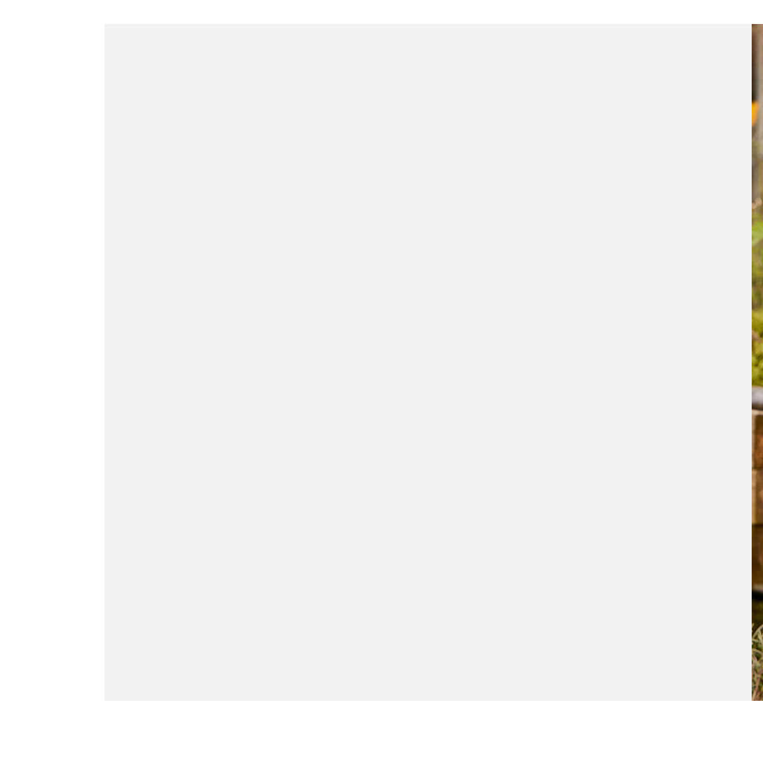 Have fun with friends