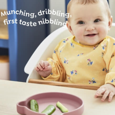 Baby weaning guide