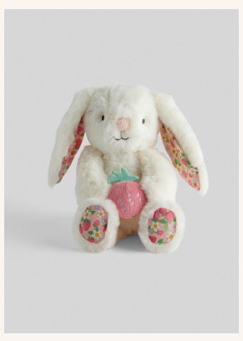 Soft Toys