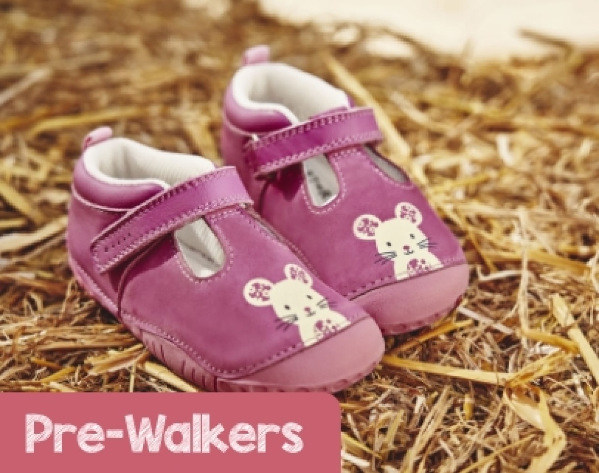 d_pre_walkers